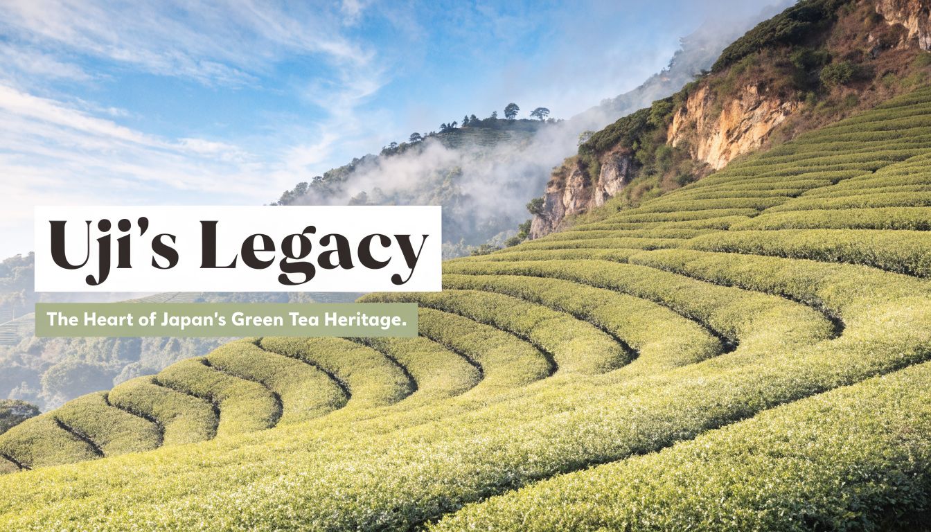 Lush green tea plantations terrace along a hillside in Uji, Japan, under a bright, partly cloudy sky.