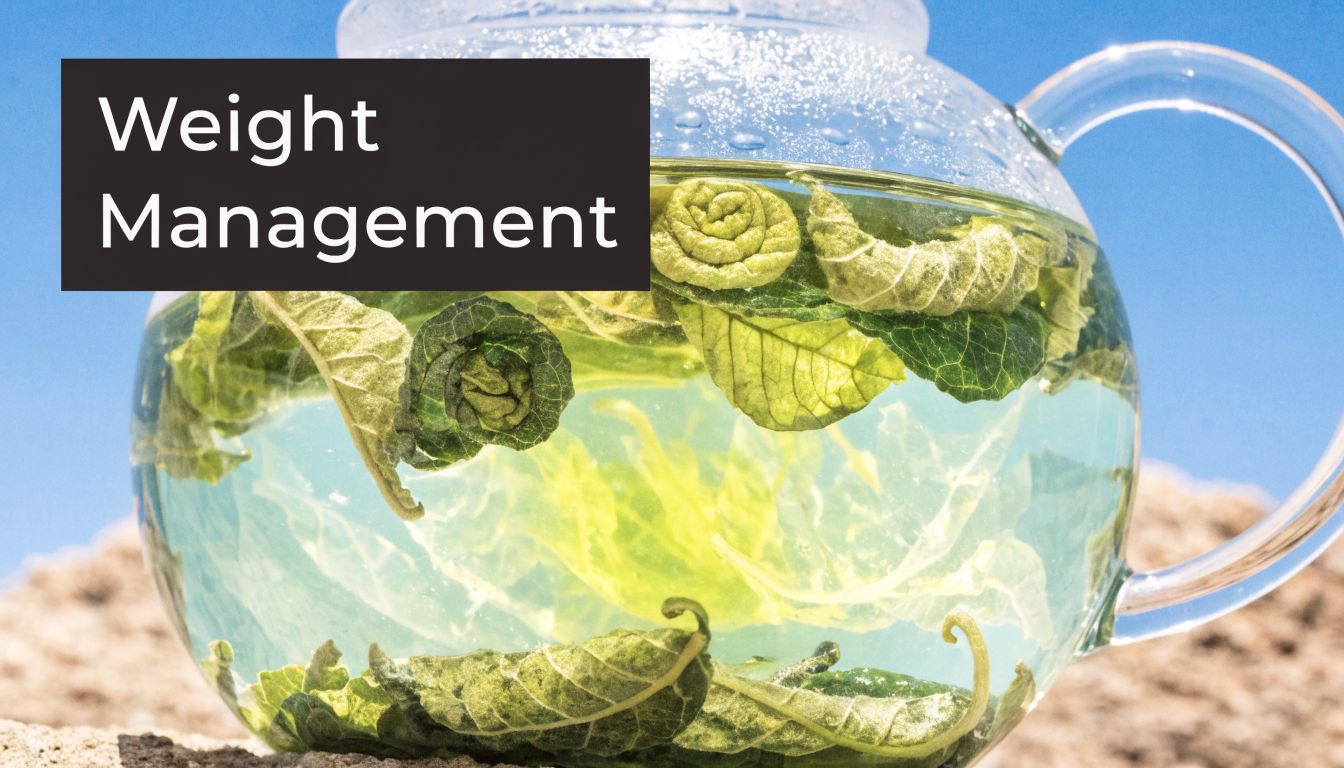A glass teapot filled with green tea leaves and water, with a text overlay saying Weight Management.
