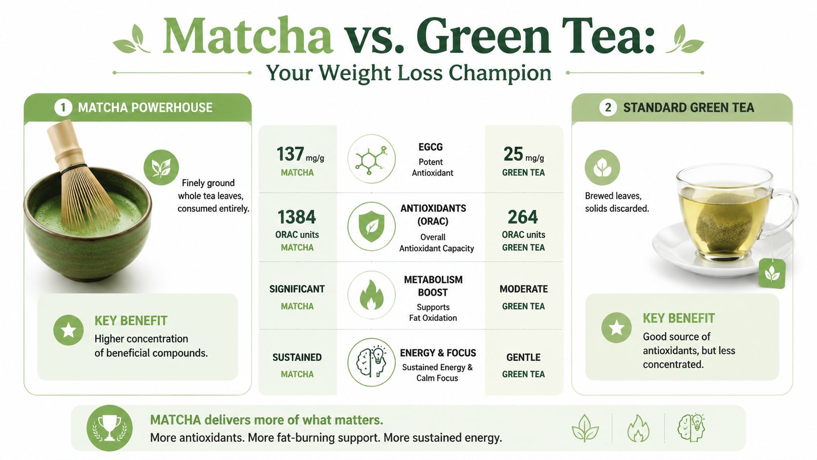 A comparative infographic highlighting the nutritional and health benefits of matcha green tea versus standard green tea.