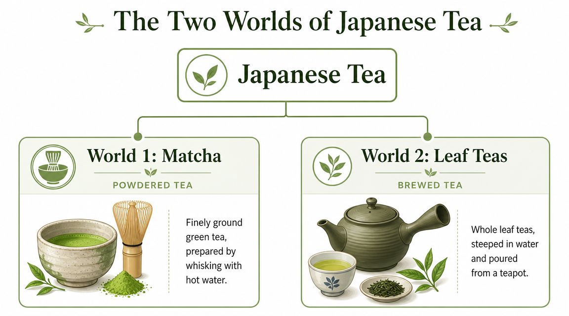 A diagram comparing the two main worlds of Japanese tea, featuring powdered matcha and steeped leaf teas.