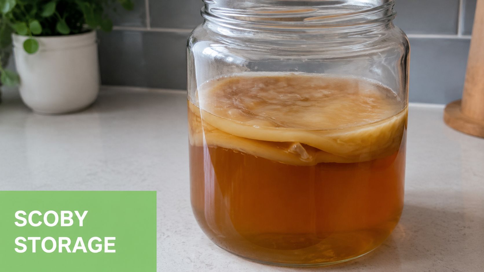A glass jar containing a kombucha SCOBY and liquid tea sitting on a kitchen counter for storage.