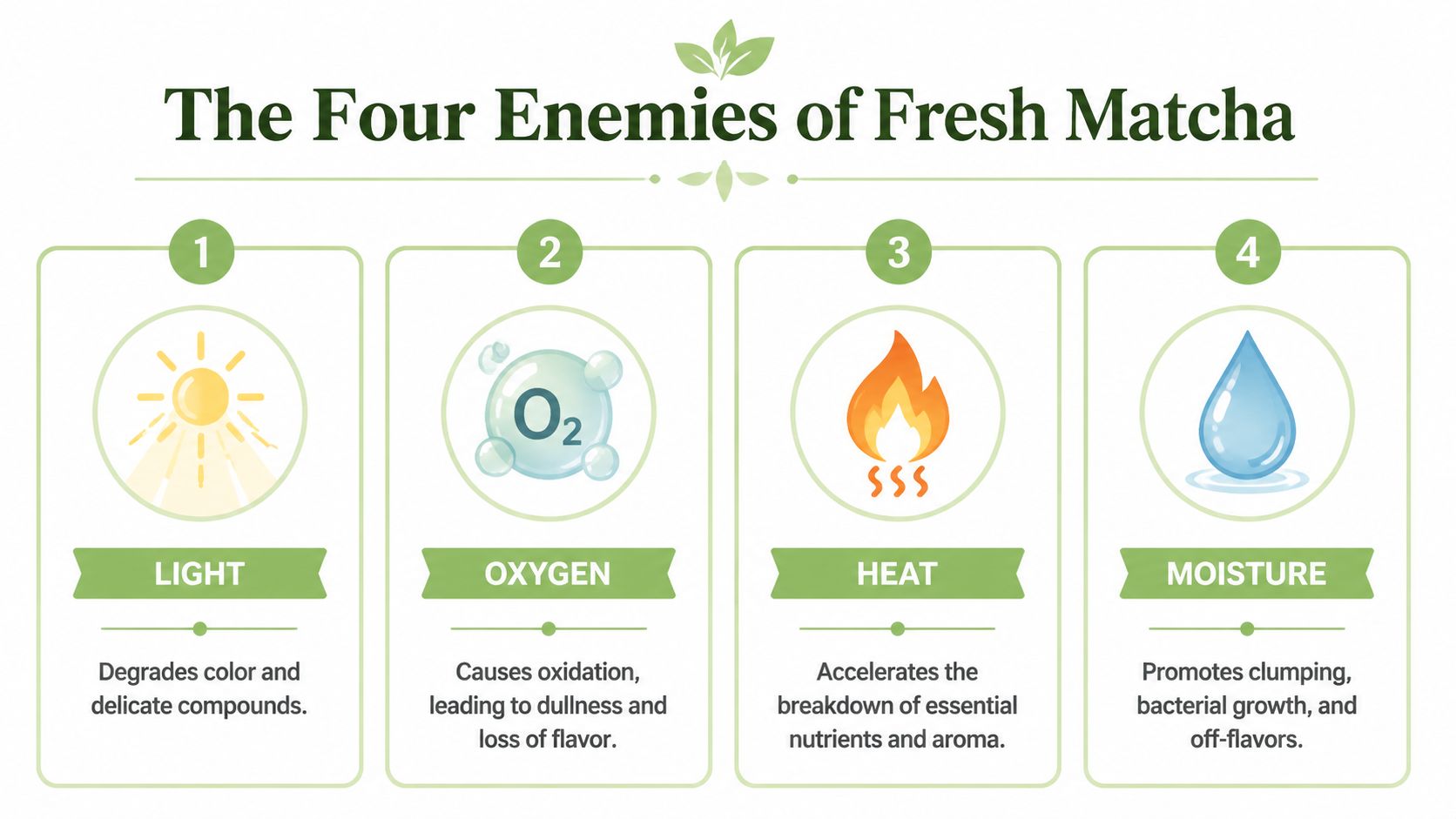 An infographic titled The Four Enemies of Fresh Matcha, illustrating light, oxygen, heat, and moisture as factors degrading quality.