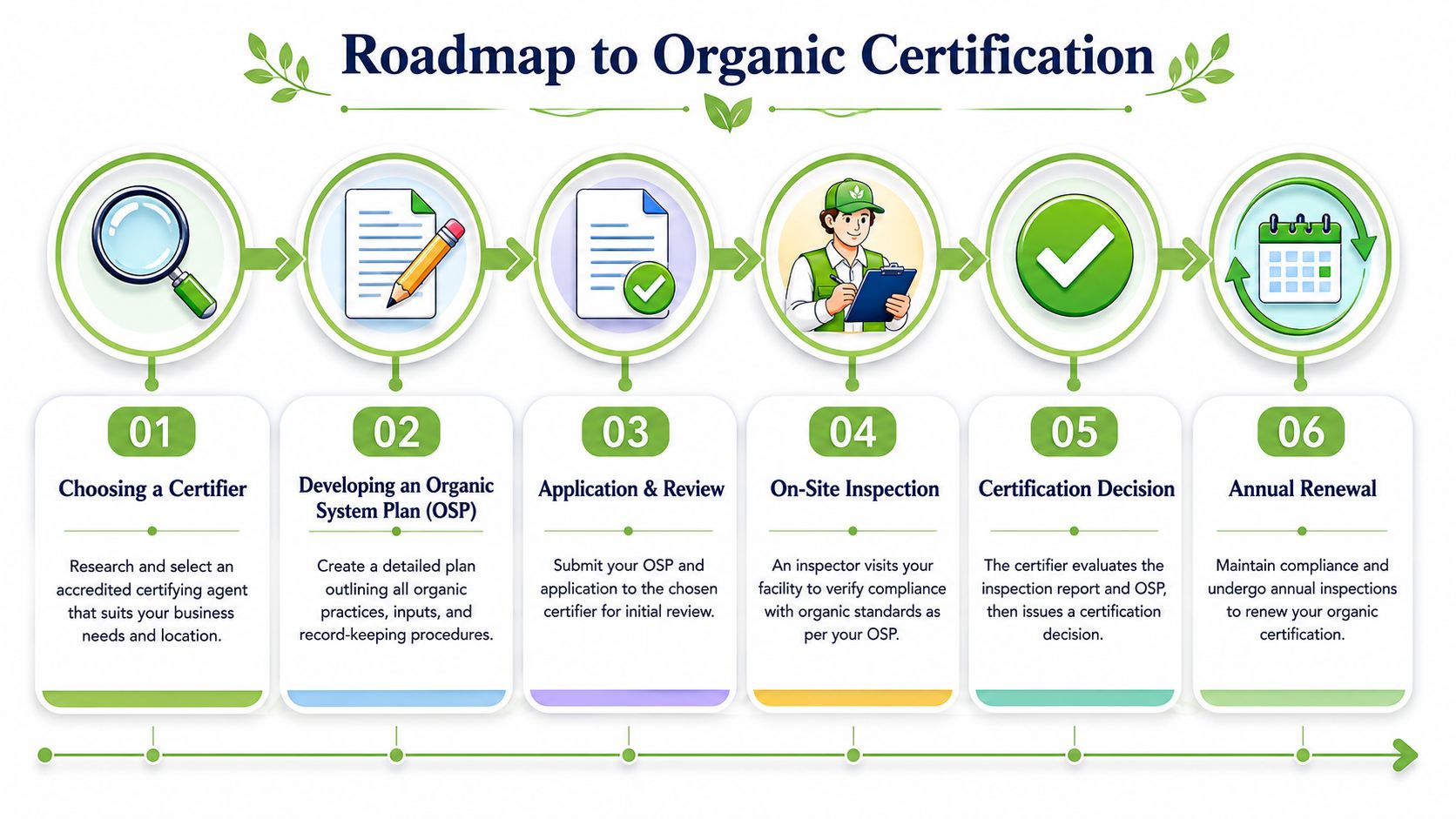 A flowchart titled Roadmap to Organic Certification, illustrating the six steps to achieve organic business certification.