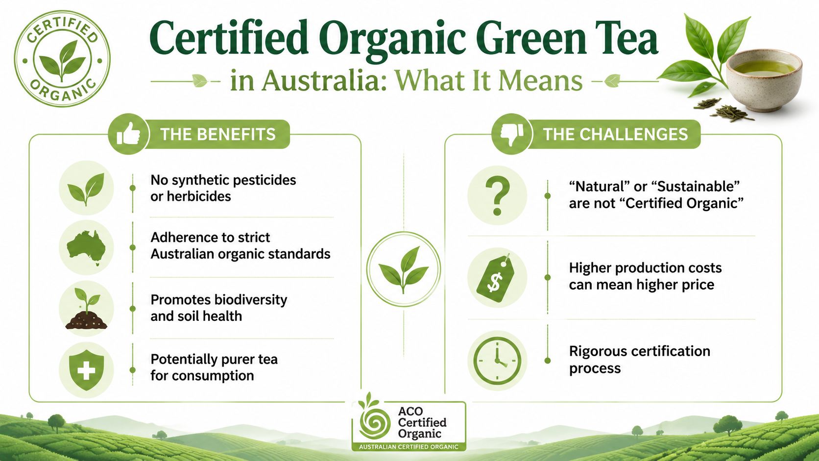 An infographic titled Certified Organic Green Tea in Australia explaining the benefits and challenges of organic certification.
