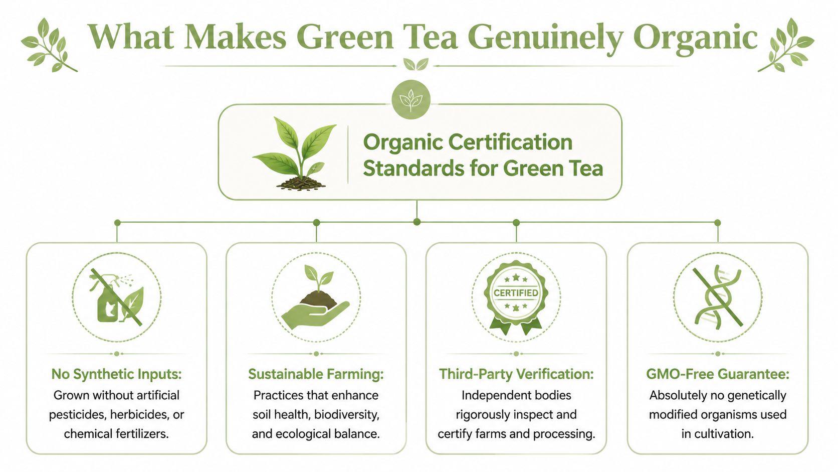 An infographic titled What Makes Green Tea Genuinely Organic, highlighting key standards for organic tea certification.