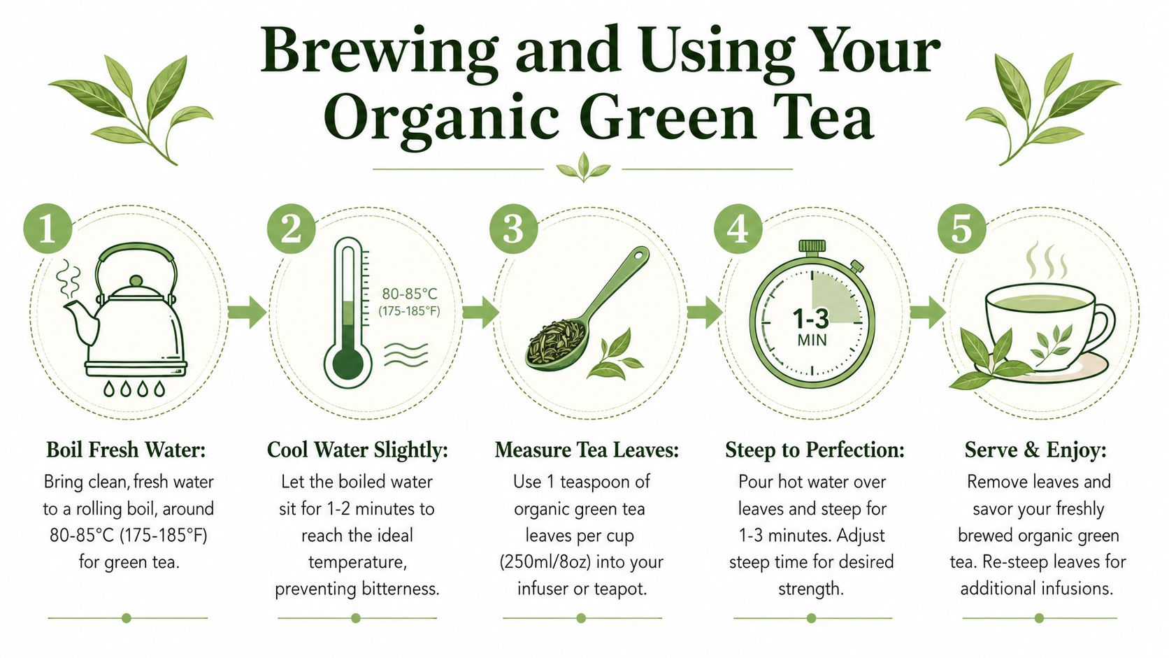 A step-by-step infographic illustrating how to brew the perfect cup of organic green tea.