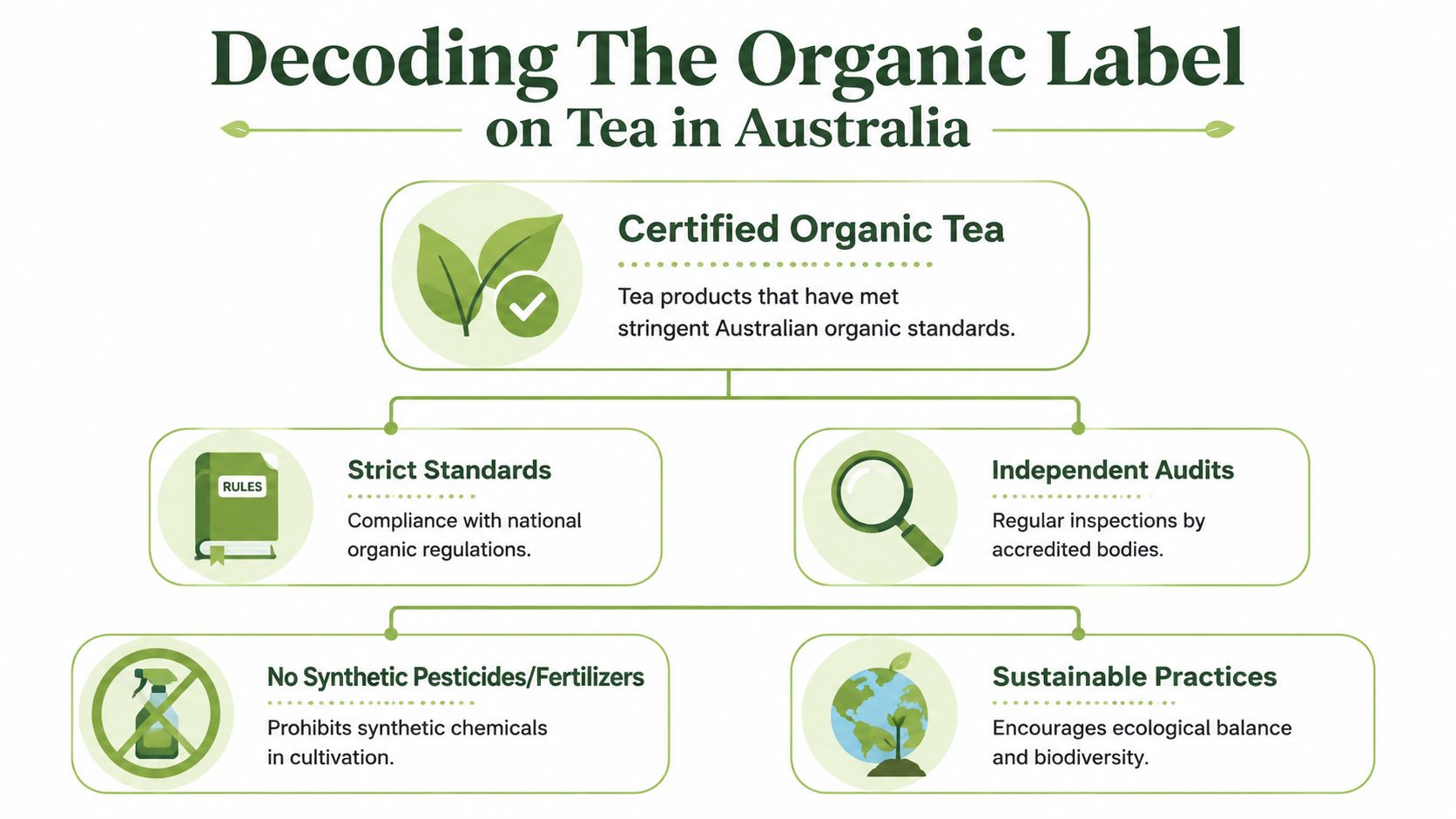 An infographic detailing the standards and requirements for certified organic tea products in Australia.