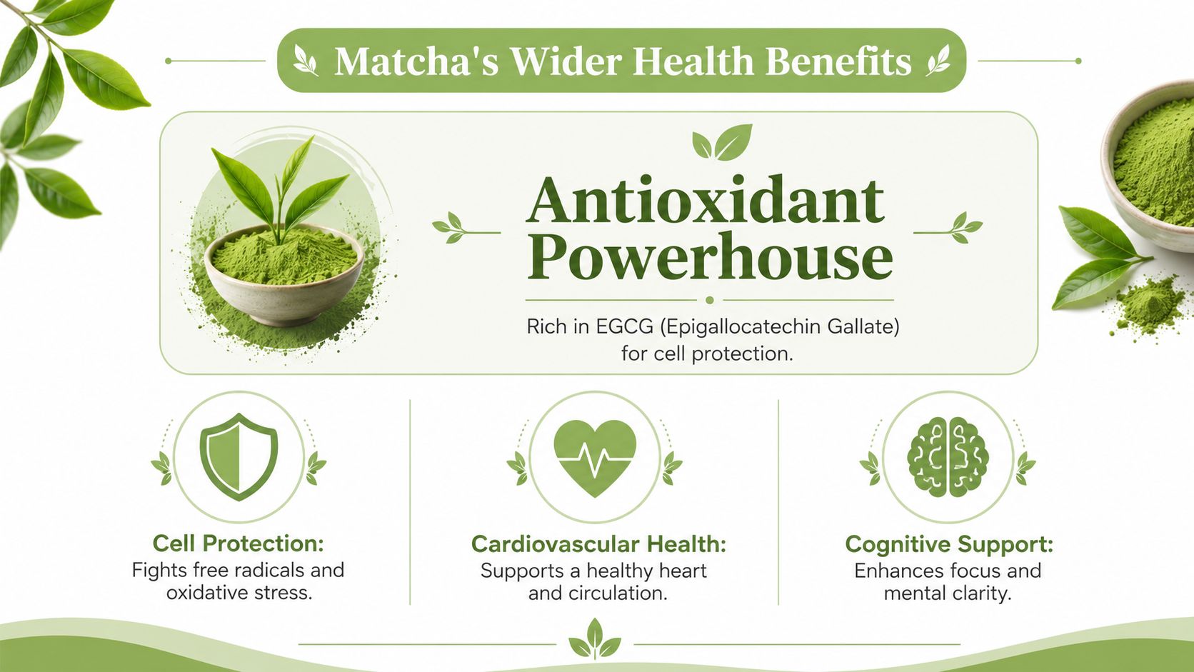 An infographic titled Matcha's Wider Health Benefits detailing its antioxidant, heart, and brain health properties.