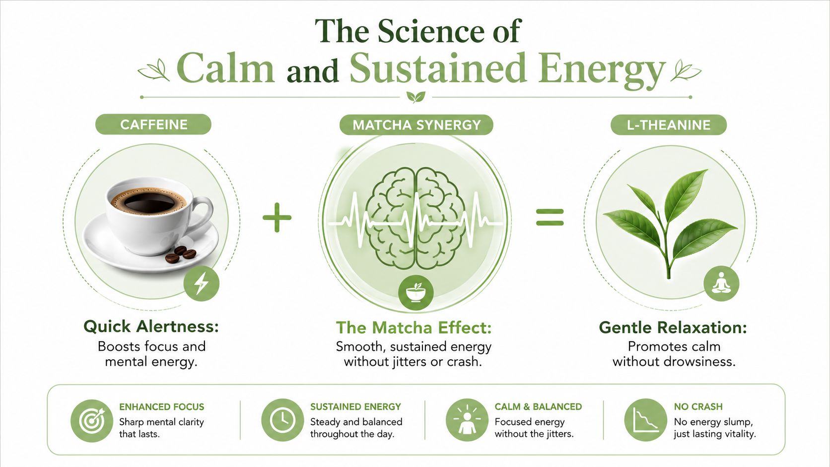 An infographic explaining the benefits of matcha through the synergy of caffeine and L-theanine for sustained energy.