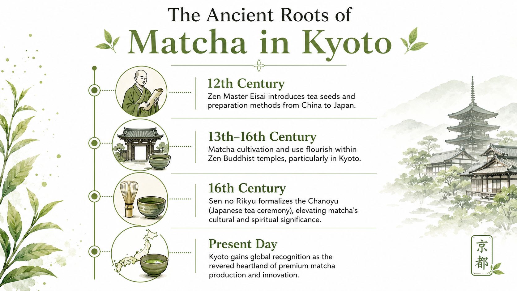An educational infographic timeline illustrating the historical evolution of matcha tea in Kyoto, Japan, from ancient roots.
