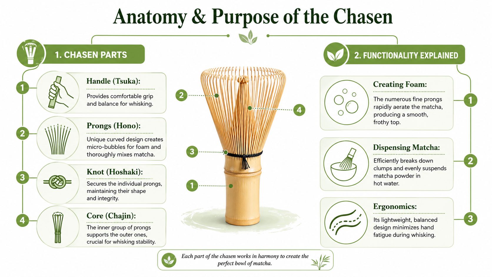 A detailed infographic explaining the anatomical parts and functionality of a traditional bamboo matcha chasen whisk.