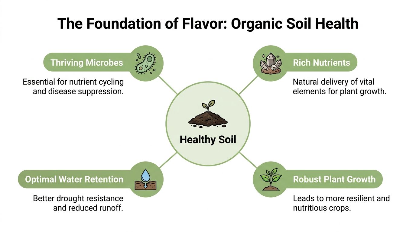 A diagram illustrating the four key benefits of healthy organic soil for plant growth and nutrition.