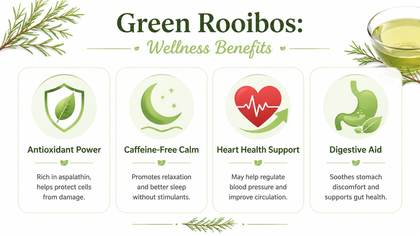An infographic highlighting the wellness benefits of Green Rooibos tea, including antioxidant power, sleep, and heart health.
