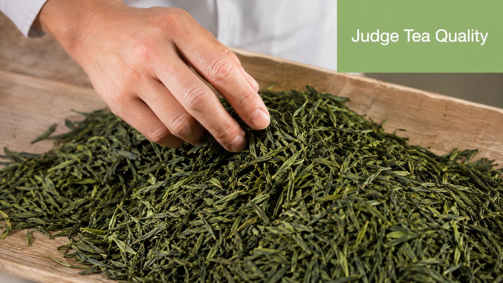 A professional hand carefully examines a pile of high-quality organic green tea leaves on a wooden tray.