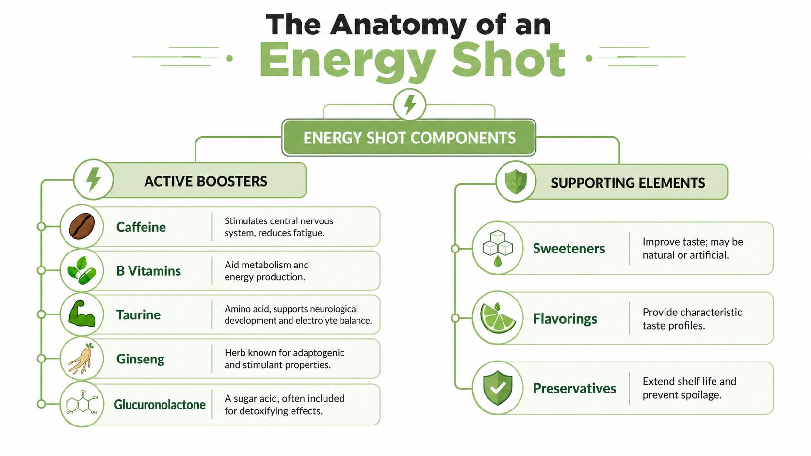 An infographic titled The Anatomy of an Energy Shot, detailing active boosters and supporting elements found within.