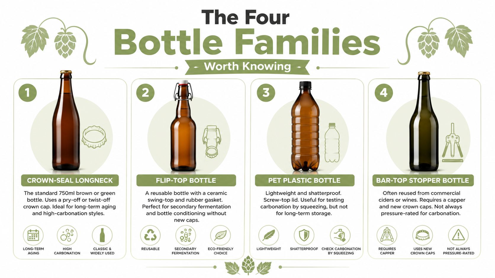 An infographic illustrating the four common types of bottles used for home brewing with descriptions for each.