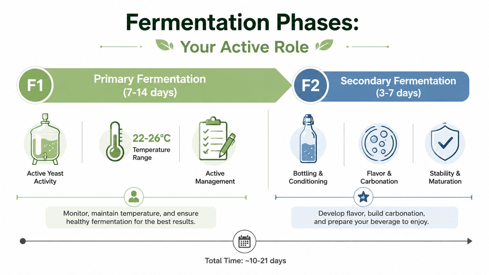 A visual guide outlining the two phases of fermentation for kombucha, including timeframes and key processes.