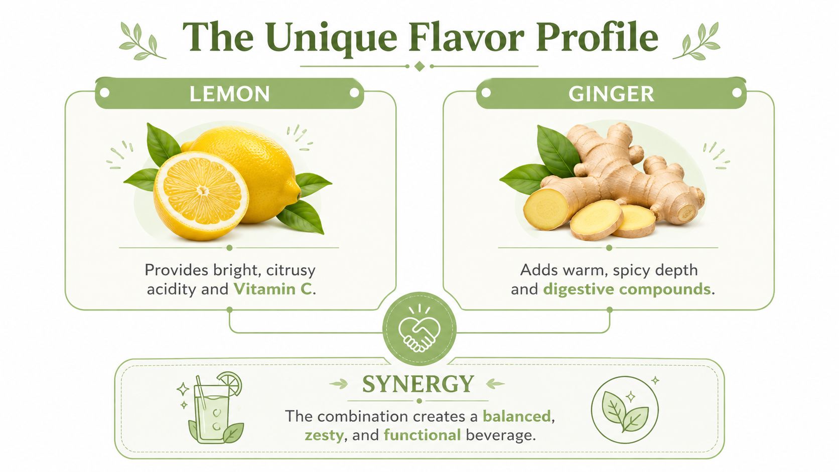 An infographic showing the unique flavor profile of lemon and ginger as ingredients for a beverage.