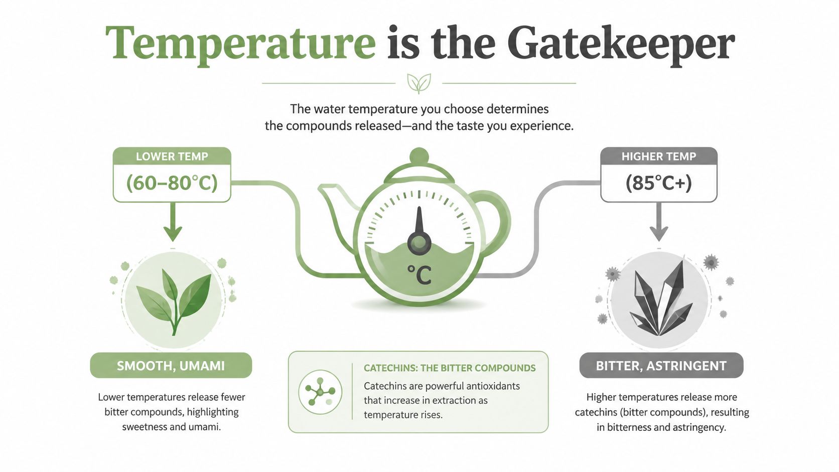 An infographic showing how different water temperatures affect the flavor and chemical extraction of tea leaves.