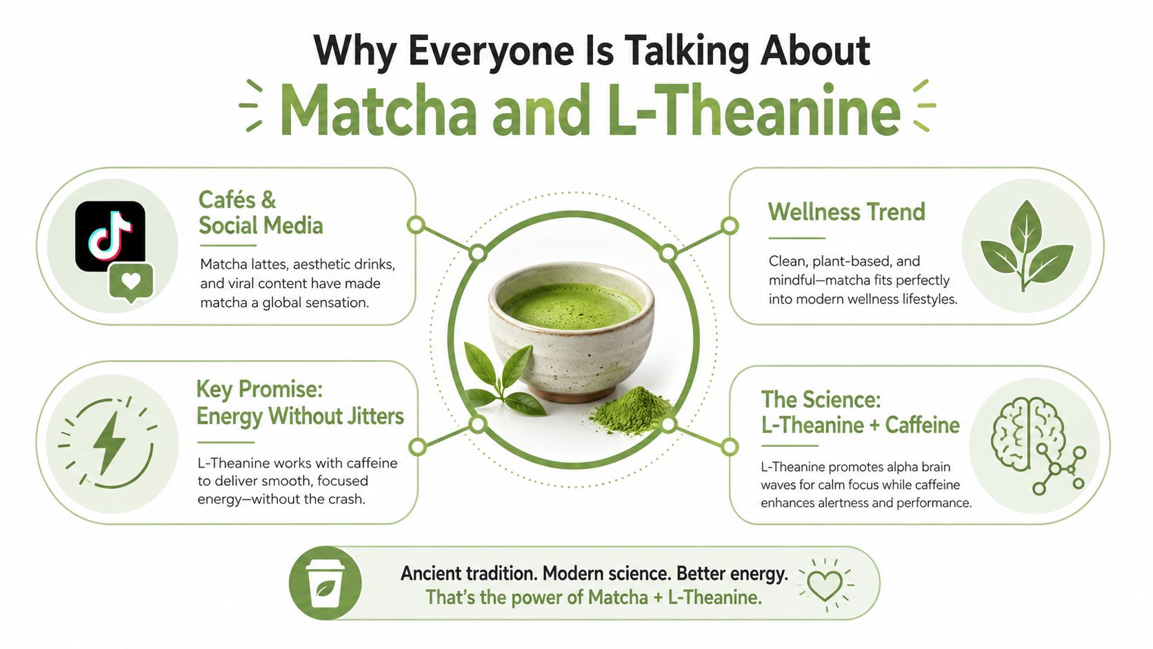An infographic titled Why Everyone Is Talking About Matcha and L-Theanine illustrating its benefits and cultural popularity.