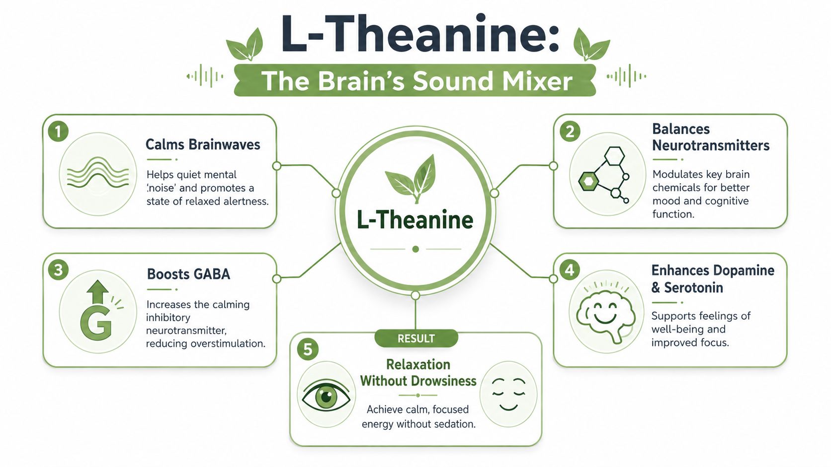 An infographic titled L-Theanine: The Brain's Sound Mixer, illustrating its five benefits for mental clarity and relaxation.