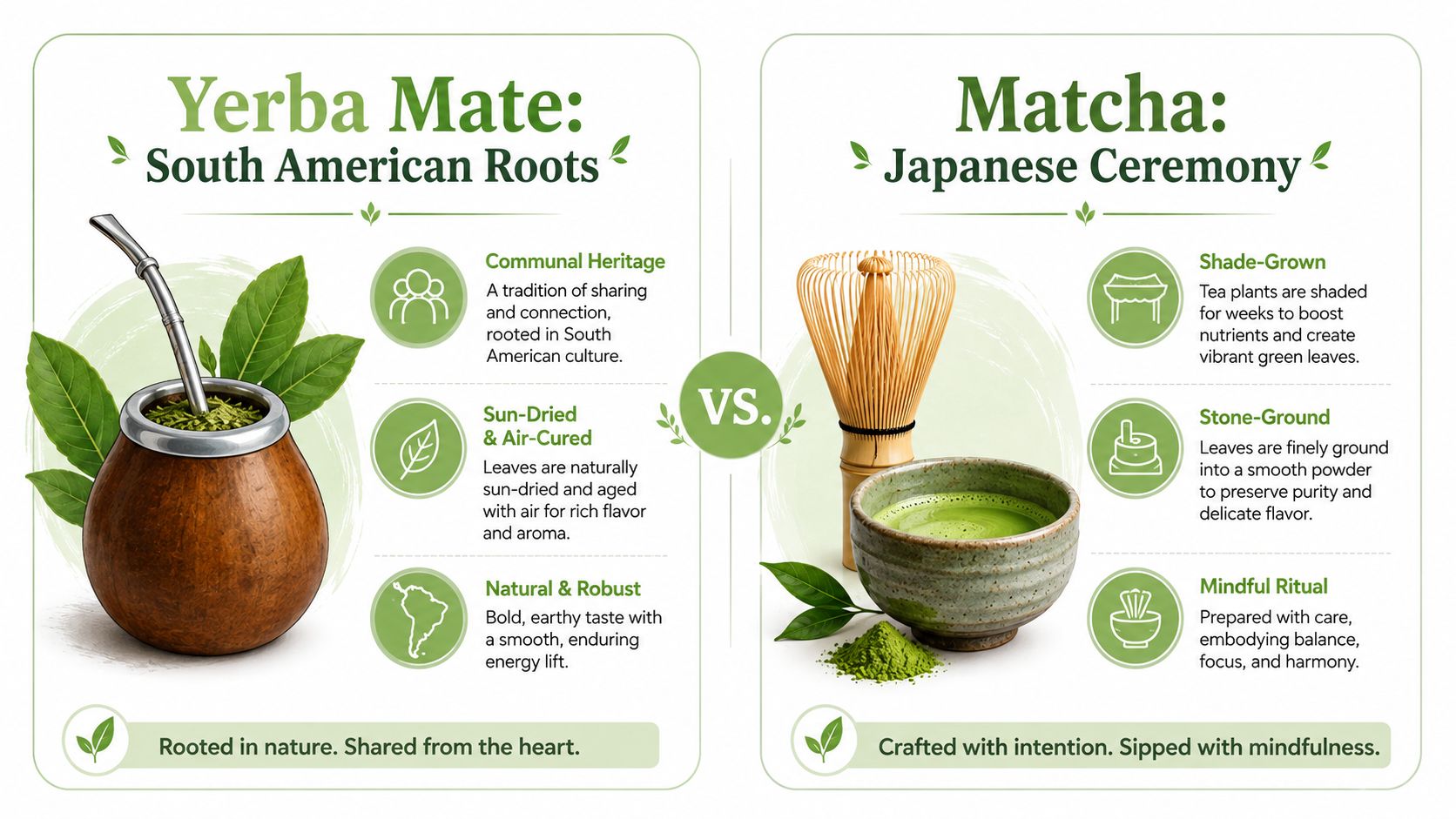 A comparison infographic highlighting the origins, production methods, and traditions of Yerba Mate and Japanese Matcha tea.