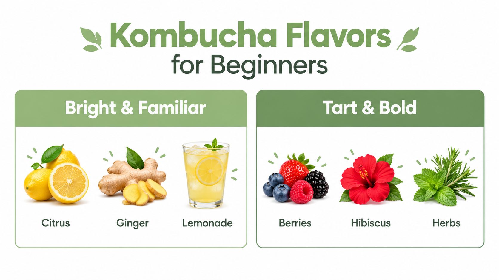 An infographic titled Kombucha Flavors for Beginners displaying bright and tart ingredient options for making kombucha.
