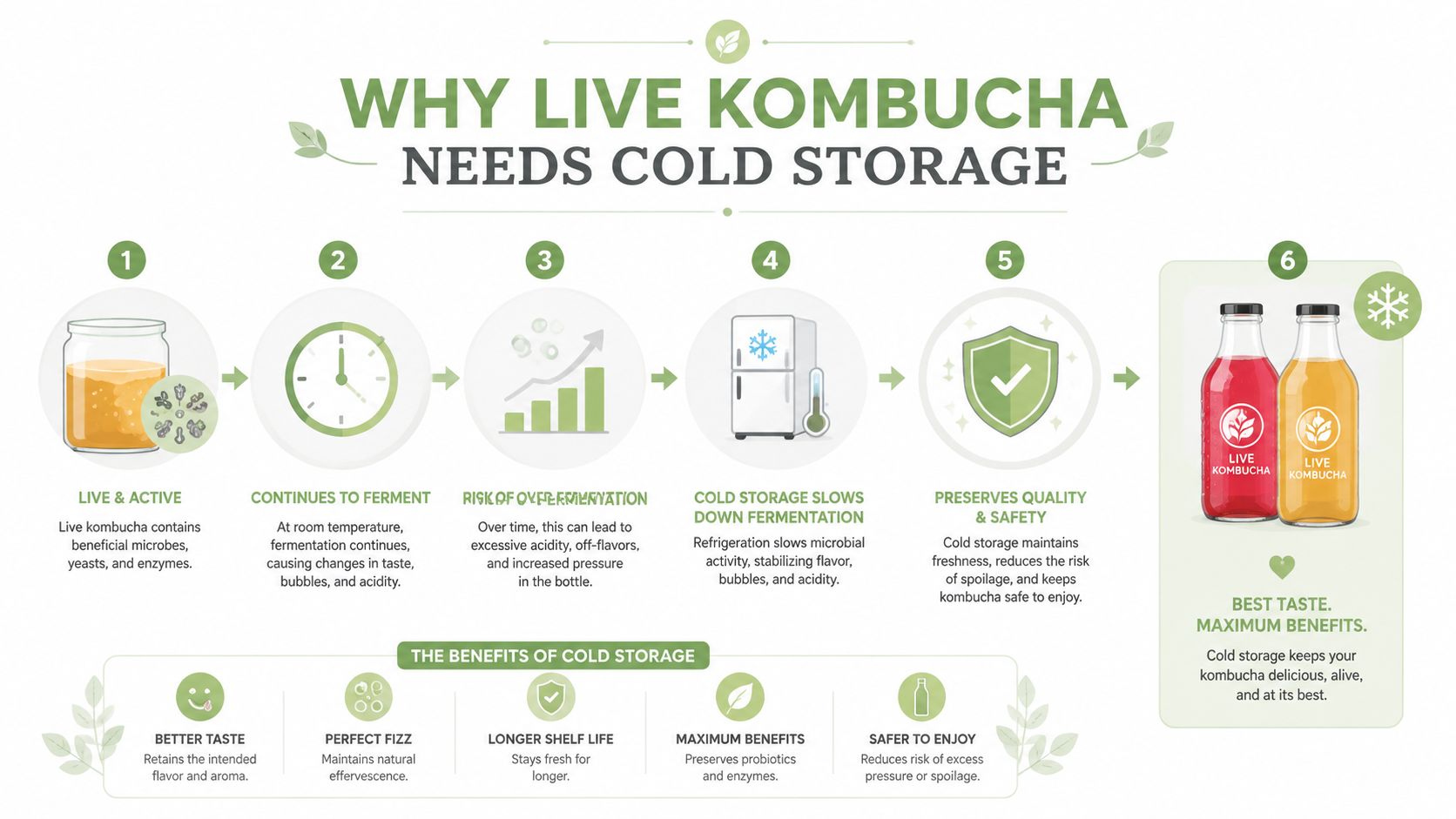 An infographic explaining the importance of keeping live kombucha refrigerated to maintain quality and safety.