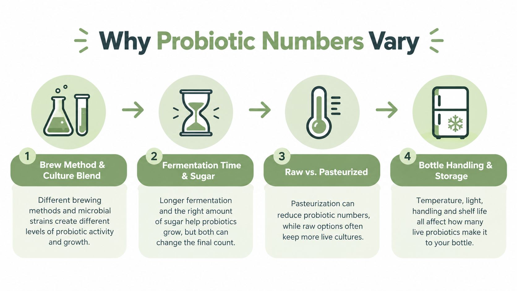 An infographic titled Why Probiotic Numbers Vary showing four factors that affect probiotic counts in beverages.