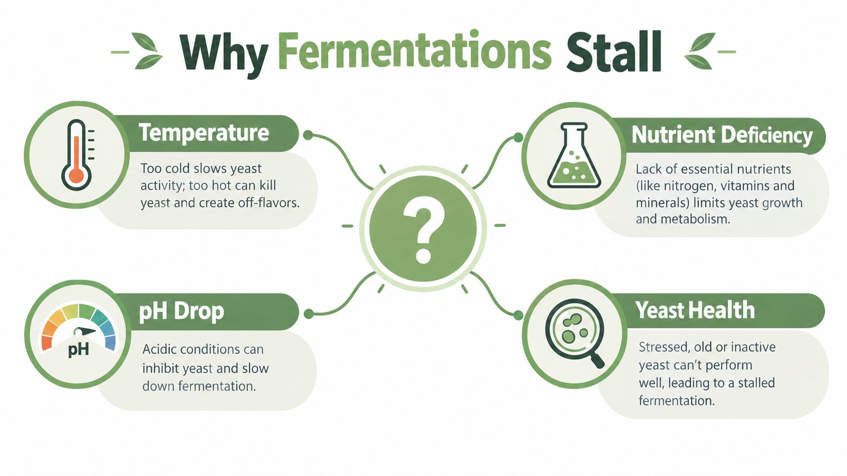An infographic showing four common reasons for stalled fermentation: temperature, nutrient deficiency, pH drop, and yeast health.
