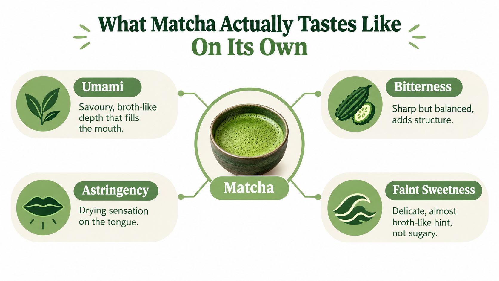 An infographic describing the four distinct flavor notes of matcha: umami, bitterness, astringency, and faint sweetness.