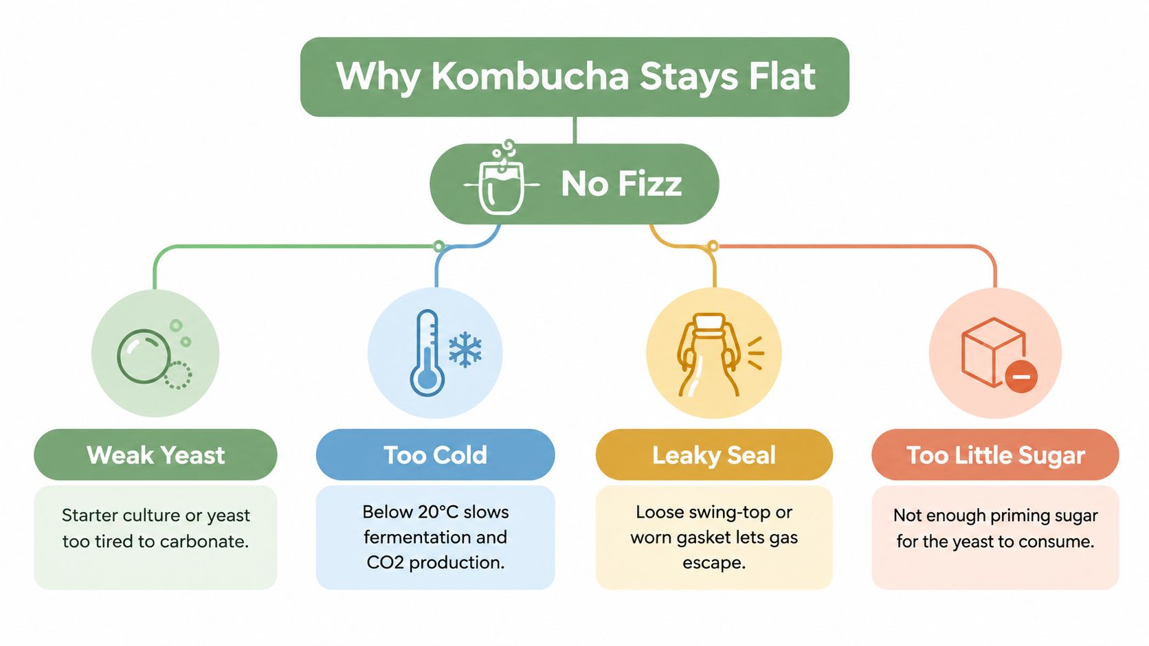 An infographic titled Why Kombucha Stays Flat, listing weak yeast, low temperature, leaky seals, and low sugar.
