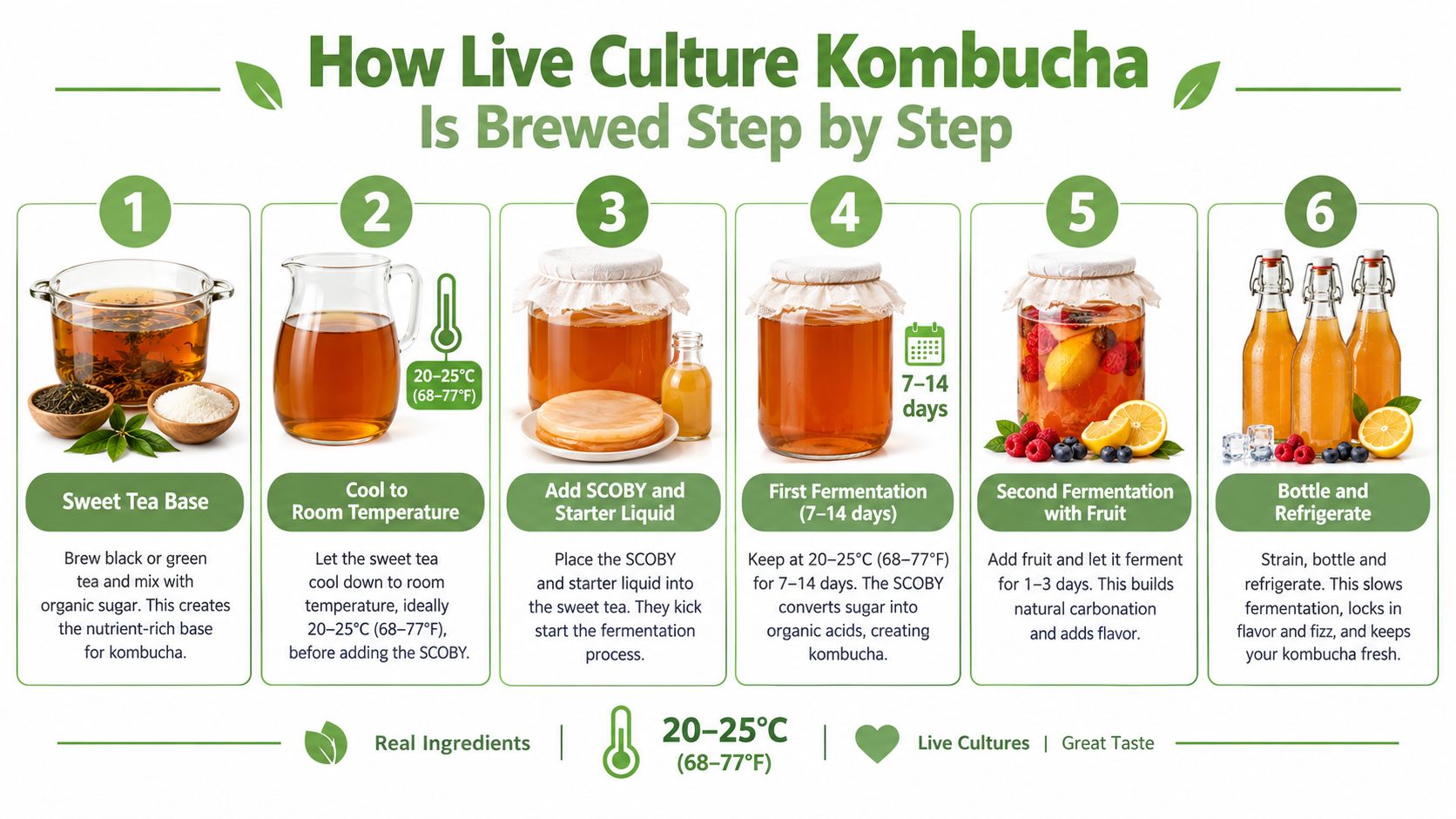 A step-by-step infographic illustrating the six-stage process of brewing live culture kombucha tea at home.