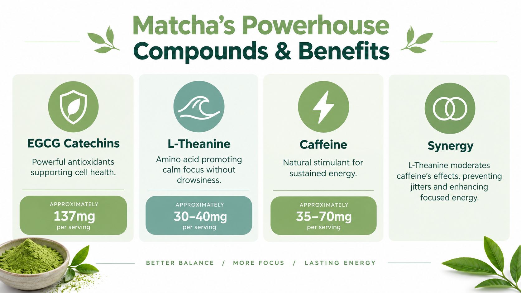 An infographic detailing the health benefits and compound content of organic ceremonial matcha including EGCG, L-Theanine, and caffeine.