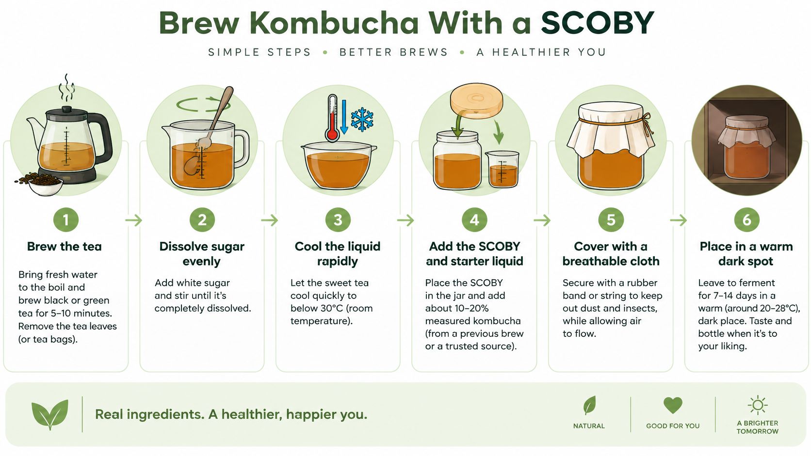 An infographic showing six simple steps for brewing homemade kombucha with a SCOBY starter culture.