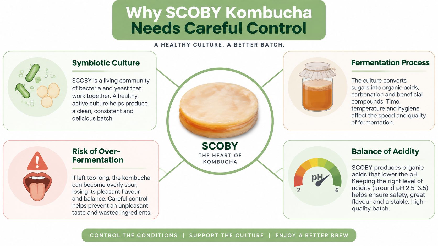 An infographic detailing why the SCOBY kombucha fermentation process requires careful monitoring and environmental control.