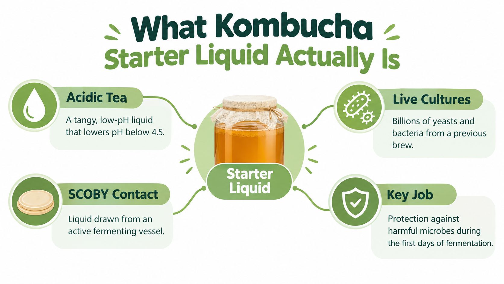 An educational infographic explaining the components and functions of kombucha starter liquid for home brewing.