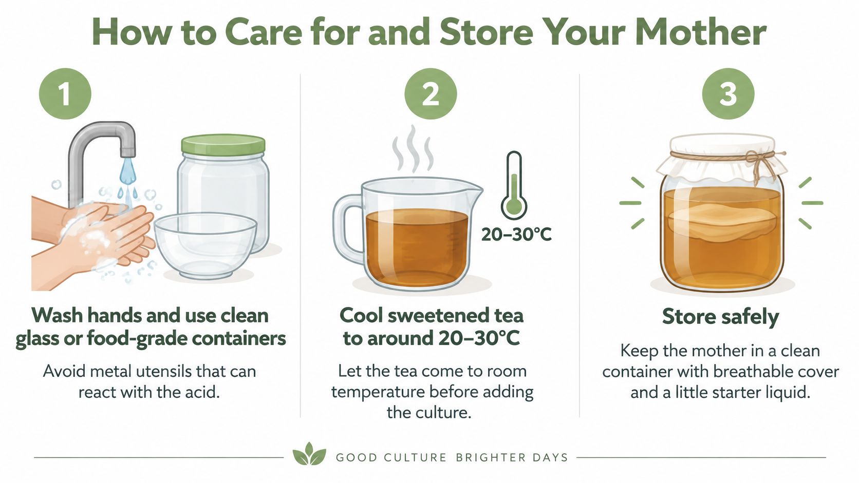 An infographic showing three steps to care for and store a kombucha tea mother culture safely.