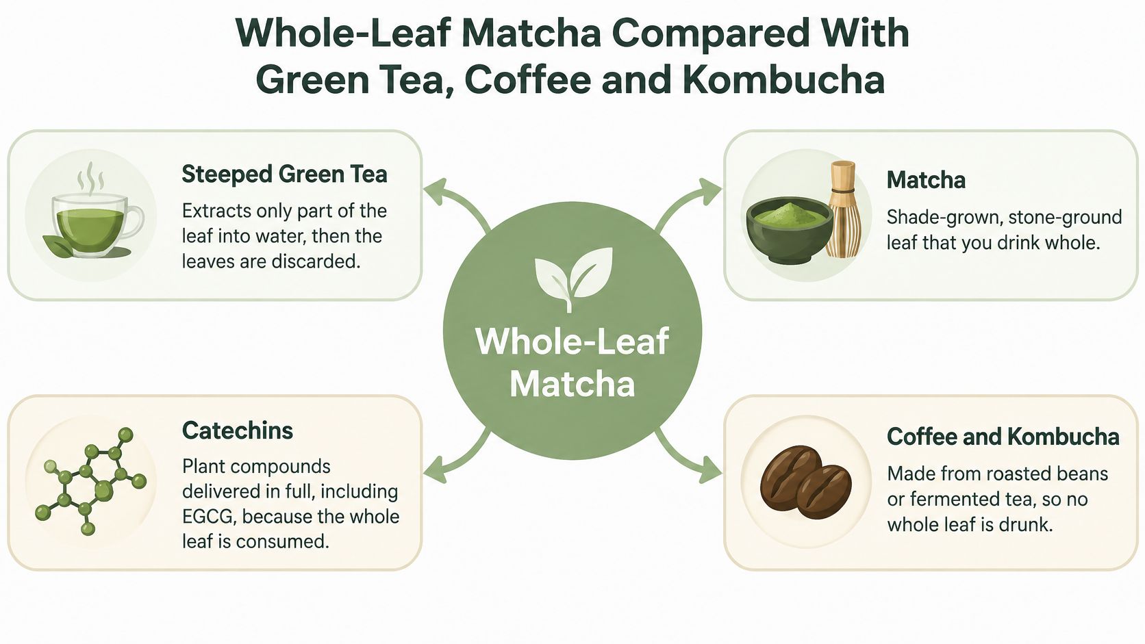An infographic comparing whole-leaf matcha with steeped green tea, coffee, and fermented kombucha health benefits.