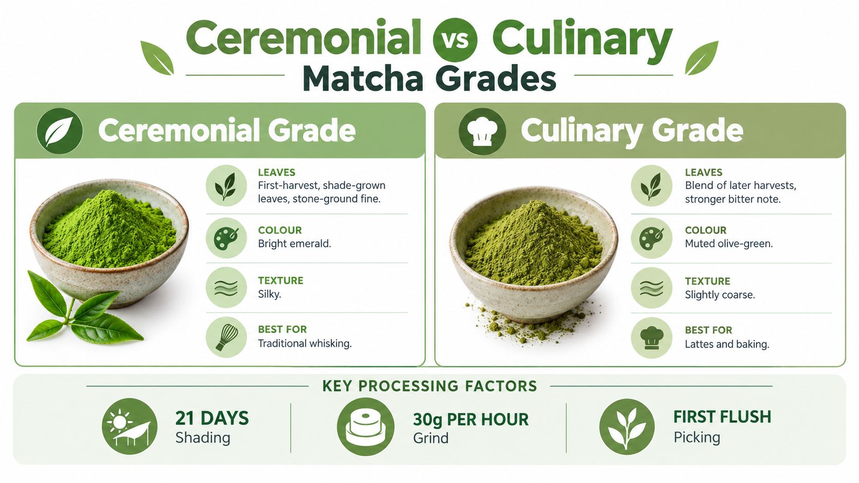 A comparison chart showing the differences between ceremonial grade and culinary grade organic matcha green tea powder.