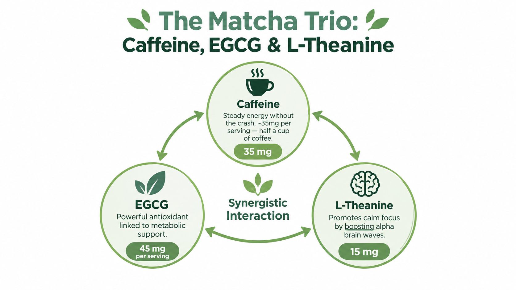 An infographic detailing the health benefits of caffeine, EGCG, and L-theanine found in matcha green tea.