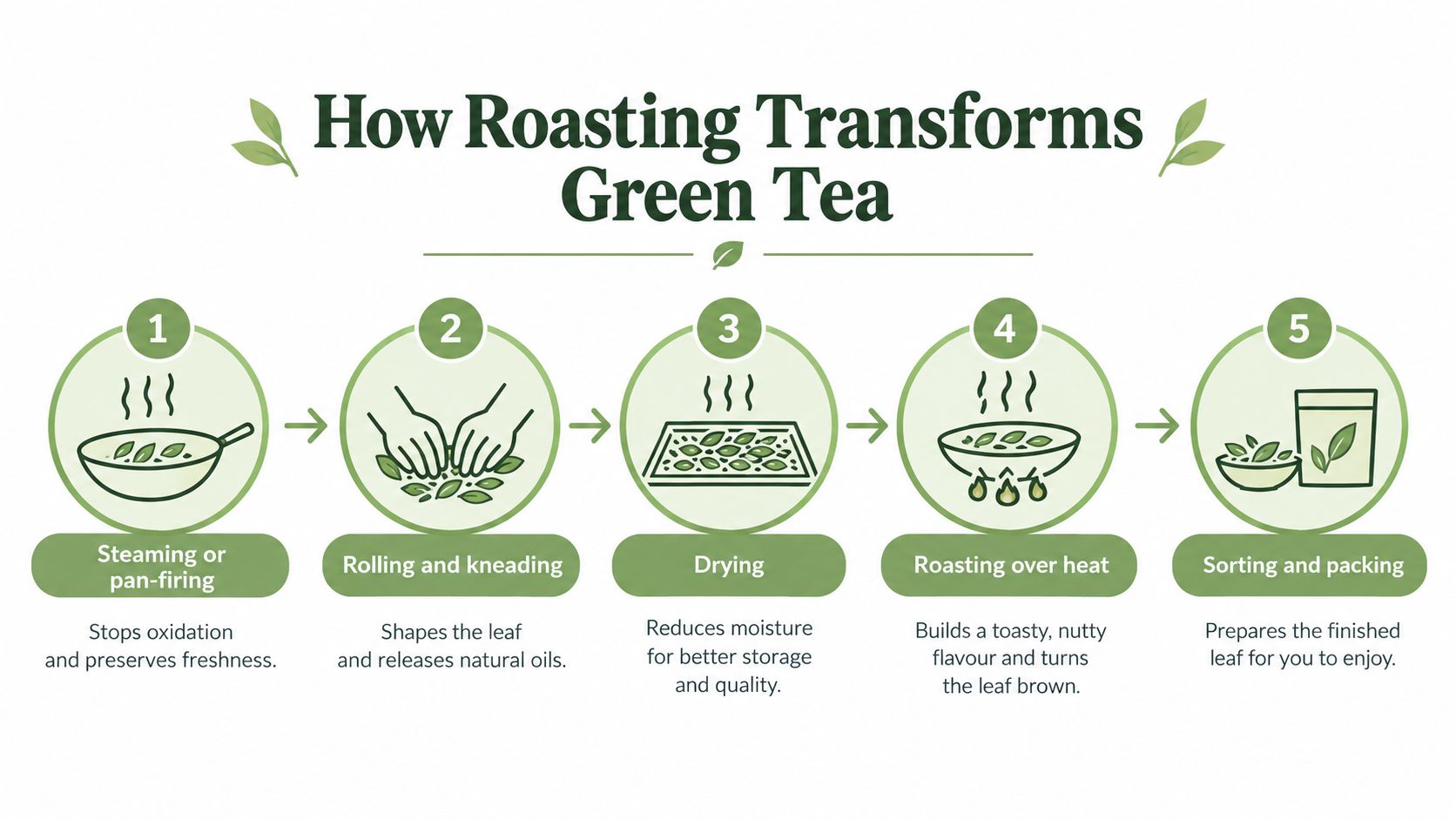 An infographic showing the five-step process of how green tea leaves are transformed through roasting and packing.